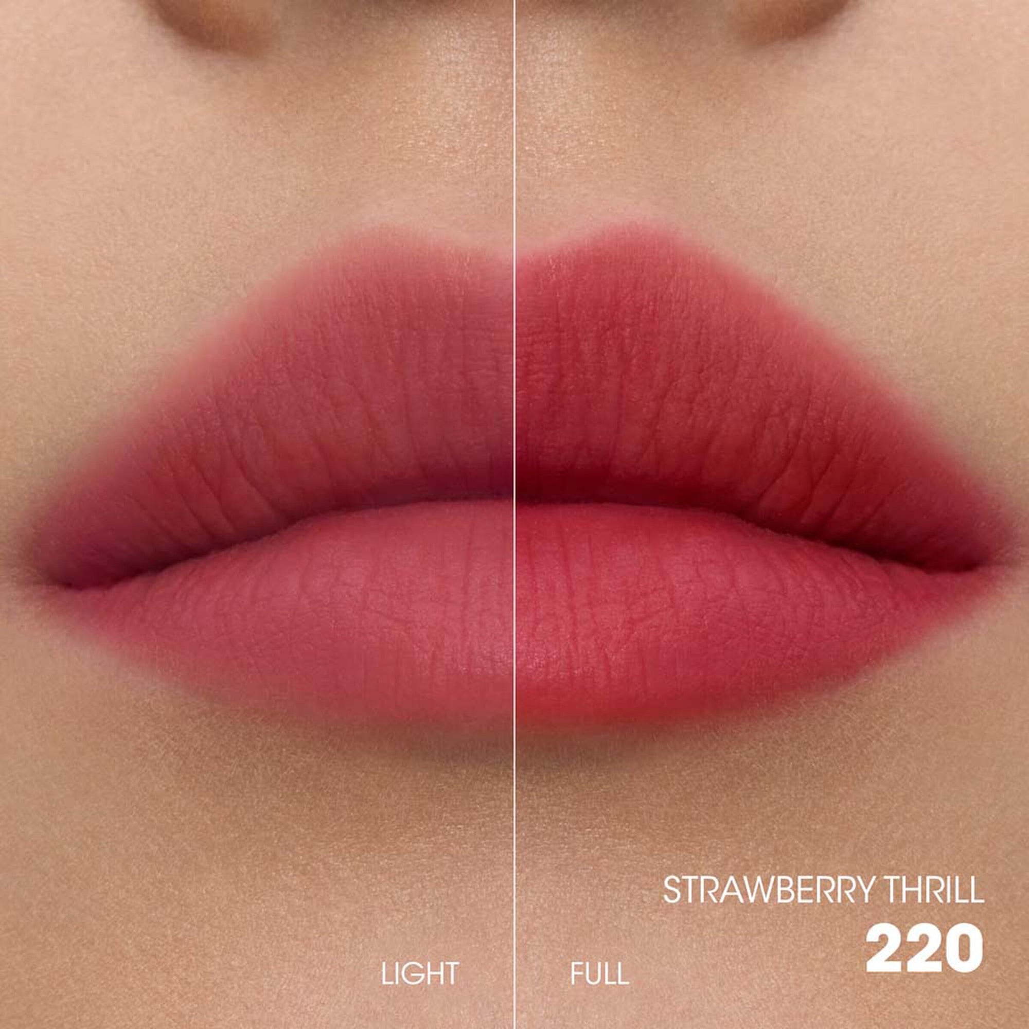 YSL The Inks Blur 220 — 3614274362510