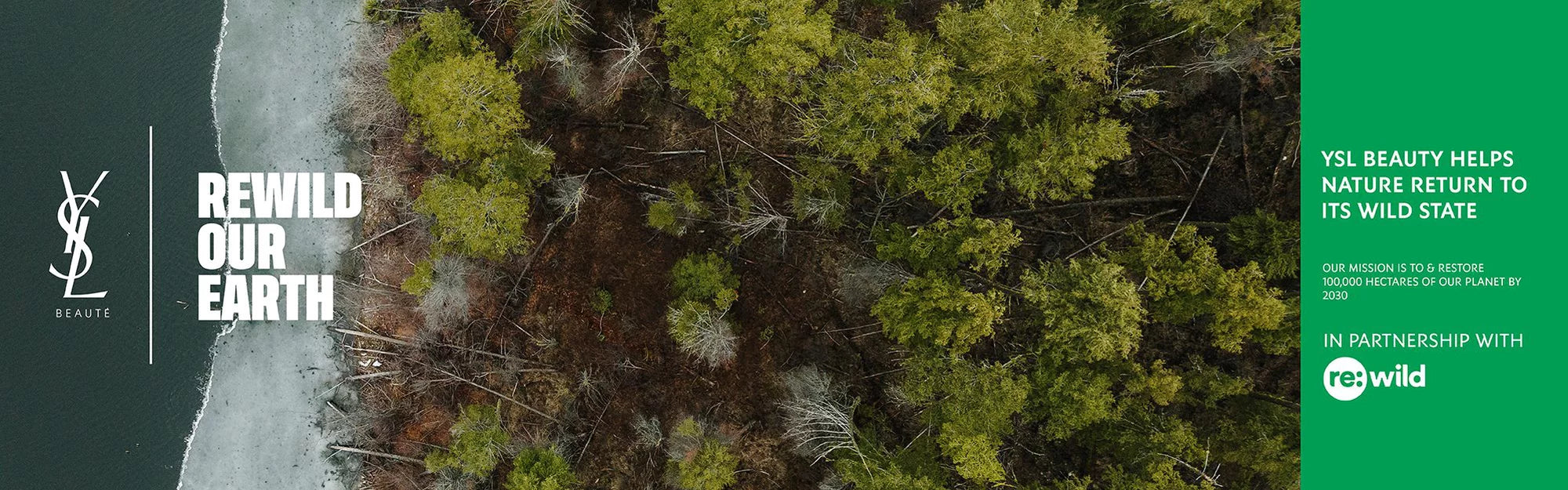 Rewild Our Earth