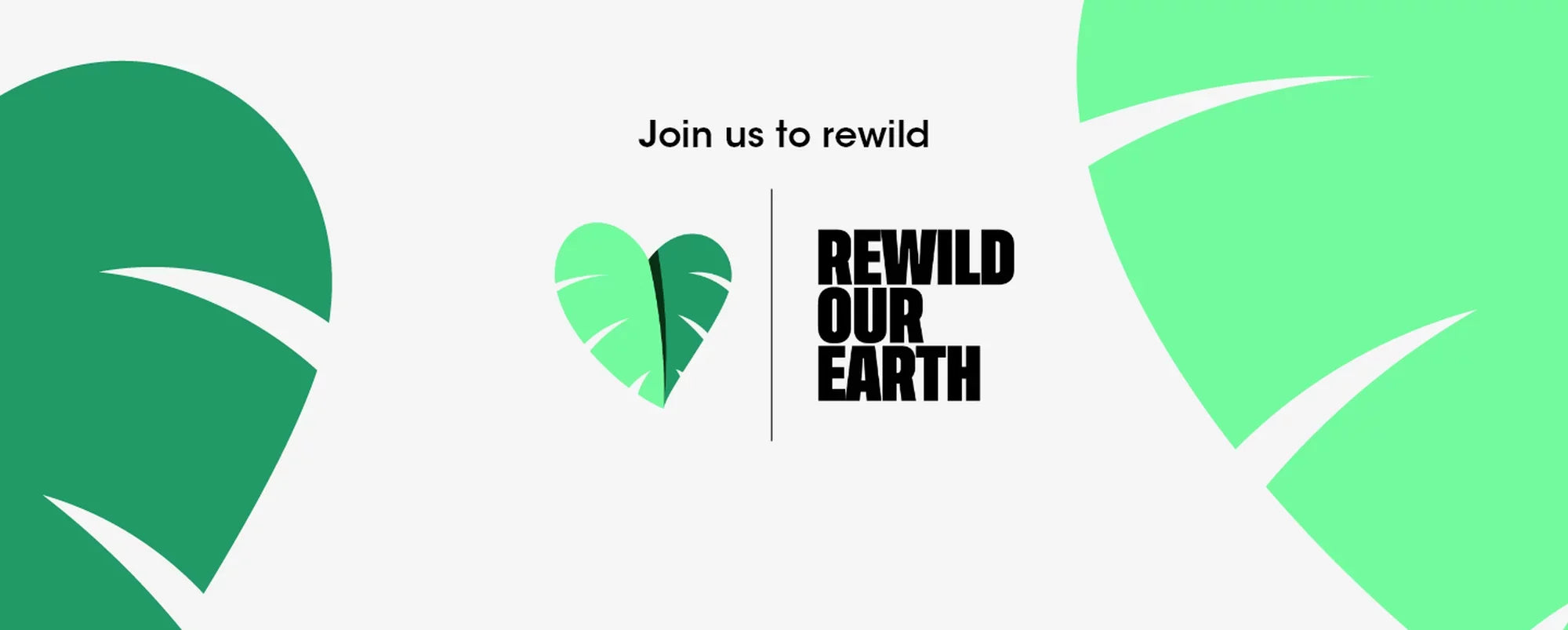 Các chương trình Rewild Our Earth