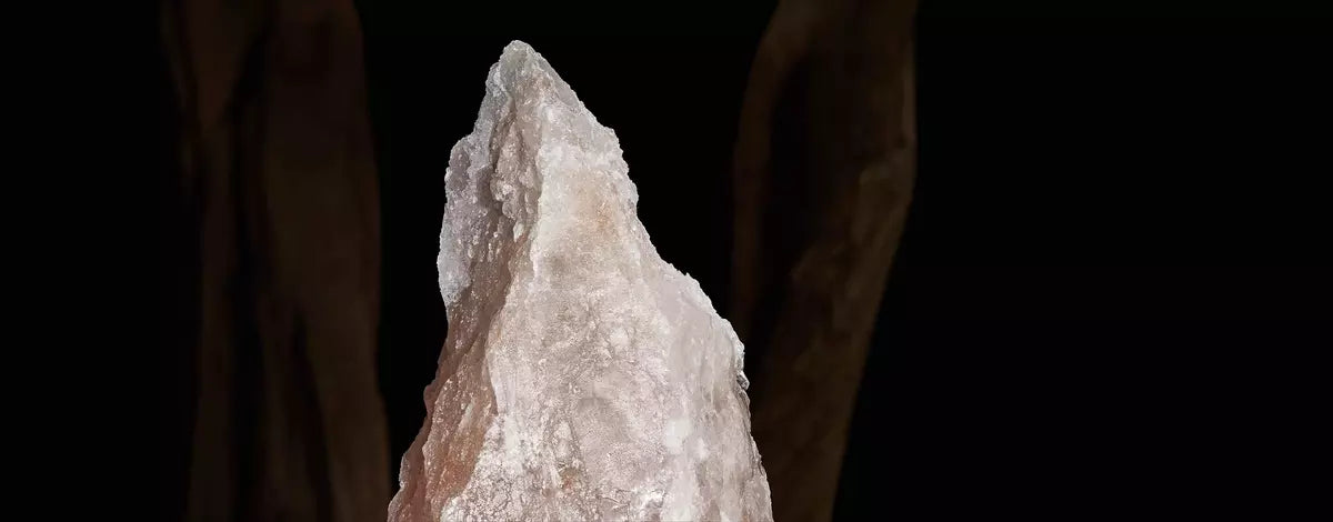 HƯƠNG THƠM MANG HÀO QUANG BÍ ẨN