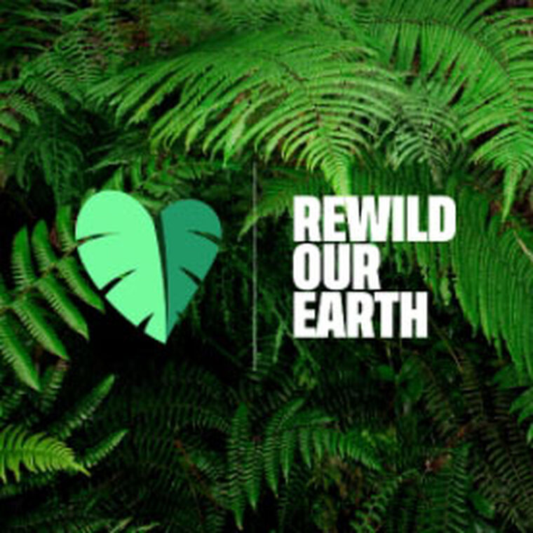 REWILD OUR EARTH